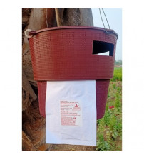 Chipku-Bucket Trap for Red Palm Weevil